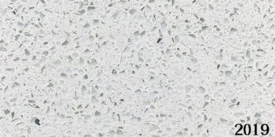 2019 White Galaxy