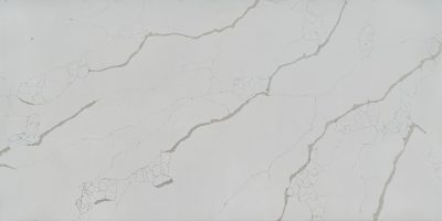 6016 Calacatta Forest