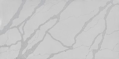 9002 Calatta Evalution